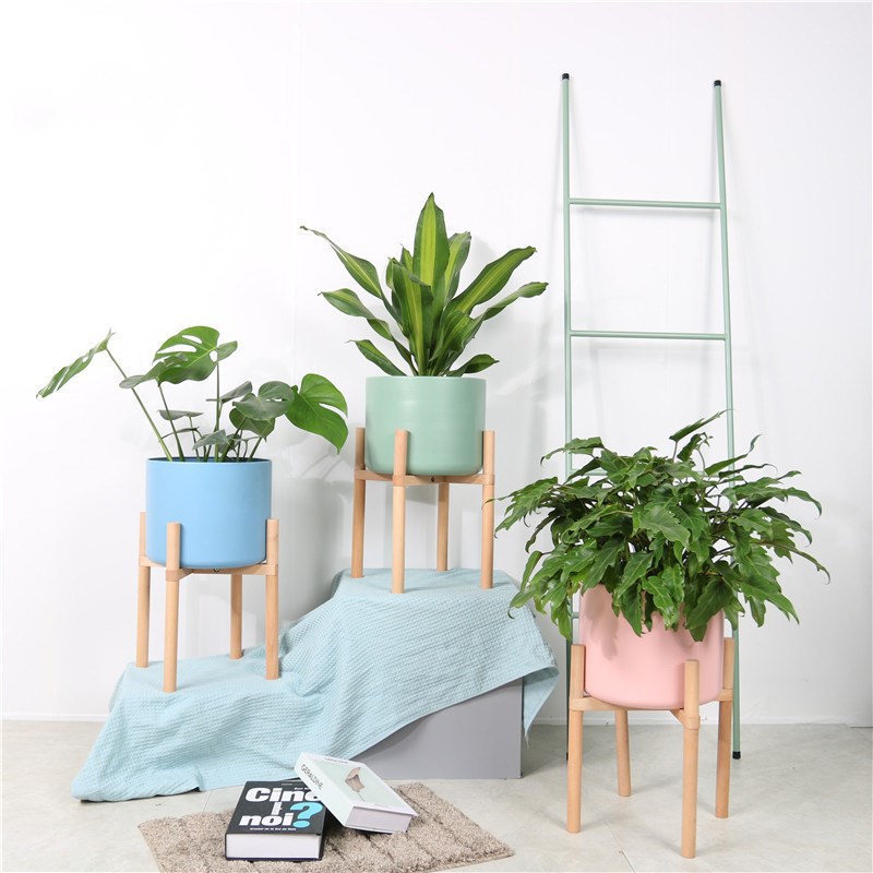 Plant Pots With Wooden Stands
