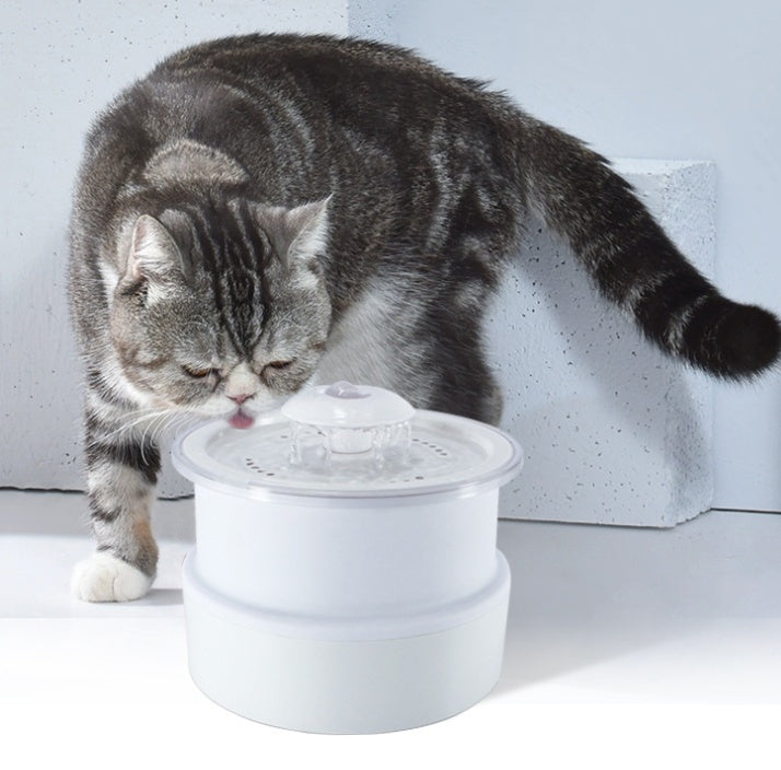 Pet Drinking Fountain